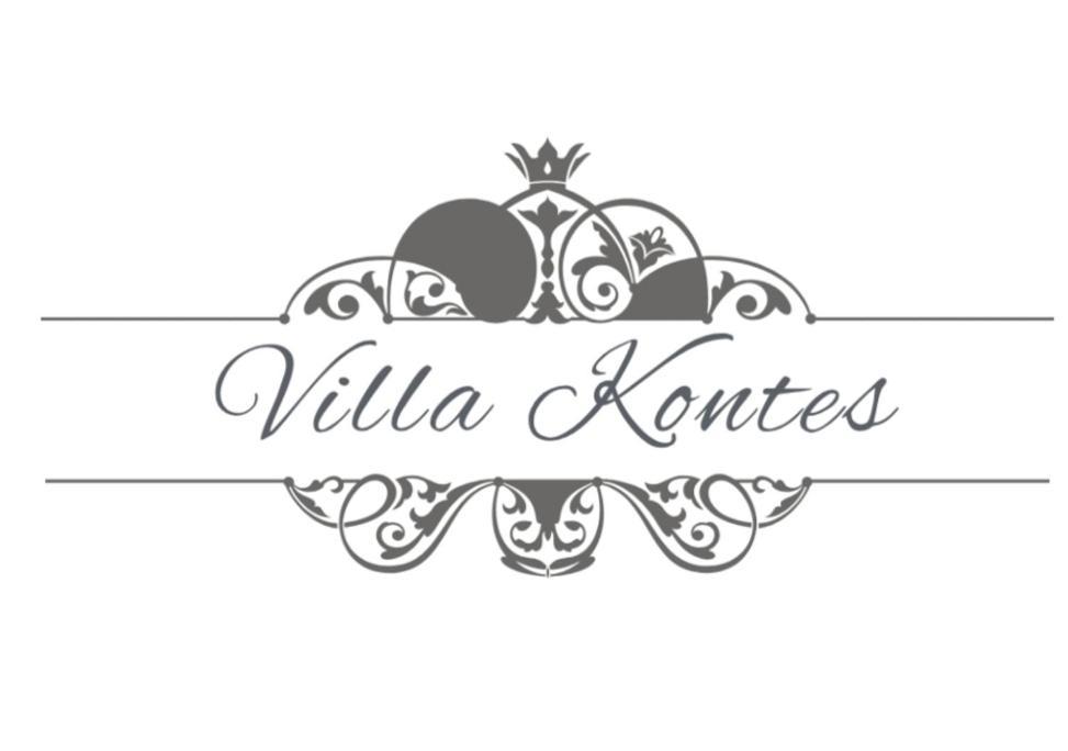 Villa Kontes Kefalonia Kardhakáta Extérieur photo